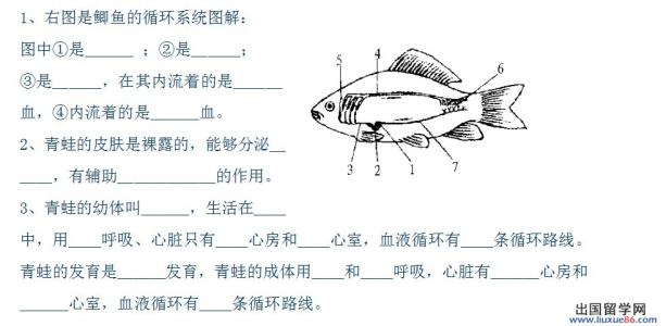 初一上册生物《保护生物圈--从自身做起》练习试题