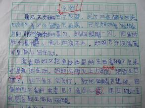 瞬间的感动作文800字 感动的瞬间初二作文800字3篇