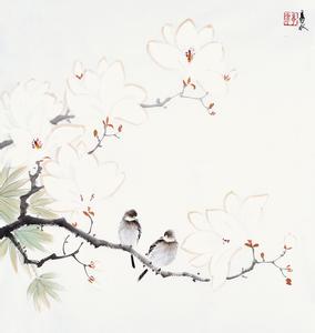 名家的工笔花鸟画图片 好看的花鸟画背景图片