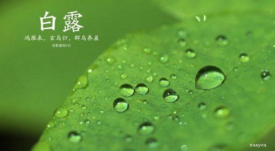 问候短信 白露问候短信带图片