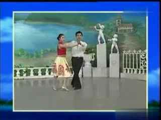 北京四平交谊舞教学 北京四平交谊舞的视频教学