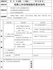 初中化学实验报告范文 初中生物实验报告范文