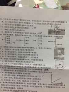 七年级下学期期末试卷 北师大版七年级生物下学期期末检测题