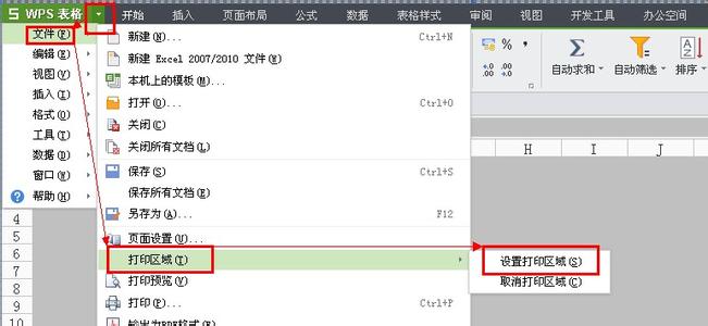 wps取消打印区域设置 WPS怎么设置取消打印区域