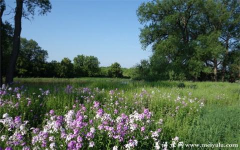 初夏的文章 初夏的文章欣赏3篇