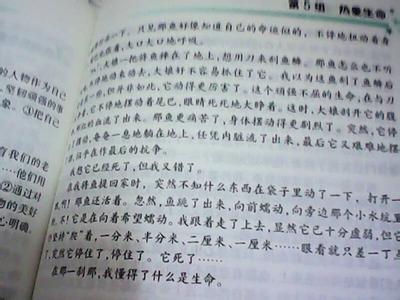 珍爱生命演讲稿 关于珍爱生命演讲稿600字5篇