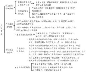 初一政治上册知识点 初一上册政治知识点大全