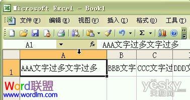 excel调整单元格大小 Excel2003调整单元格的字体教程