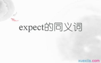 expect近义词 expect的同义词