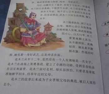 教师资格作文素材故事 关于故事的小学作文素材4篇