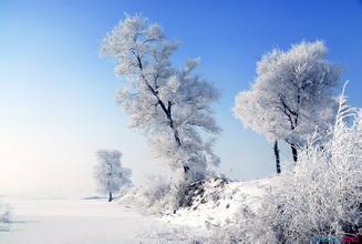描写下雪的优美诗句 描写下雪的优美语段