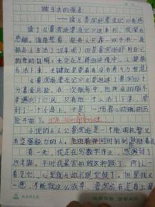 2010年江苏中考满分作文:善待彼岸花