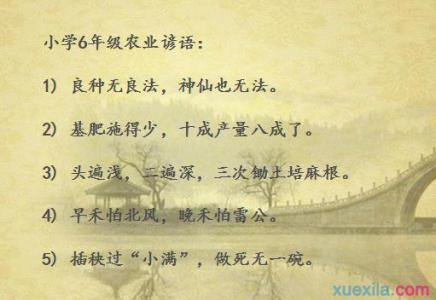 常见英语谚语 1至6年级常见谚语