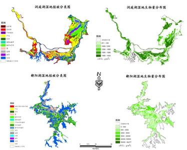 生物量是什么 什么是生物量 生物量的监测