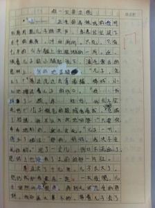 那一刻作文800字 从那一刻开始作文600字5篇