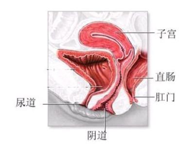 什么原因引起霉菌感染 什么原因引起阴道炎