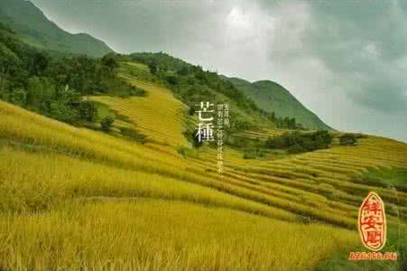 2016芒种后九天交运 2016芒种是哪天