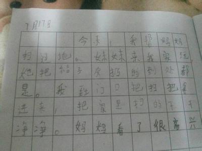 做家务日记500字 家务日记500字左右