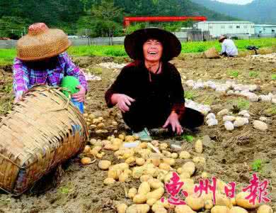 四年级下册期末试卷 博罗田头小学四年级语文上册期末试卷