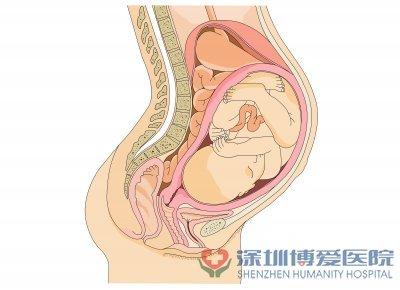 六个月胎教故事大全 怀孕六个月胎教故事