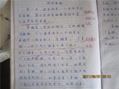 成长的脚印作文600字 成长的脚印话题作文600字