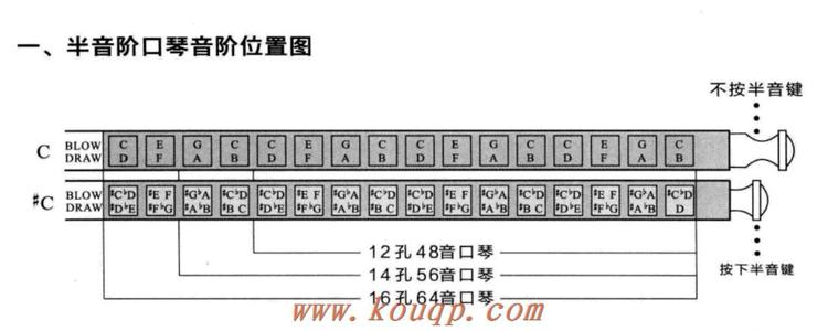 半音阶口琴 半音阶口琴乐理