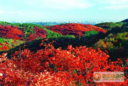 五一游玩好去处 北京休闲赏红叶好去处，北京休闲游玩好去处