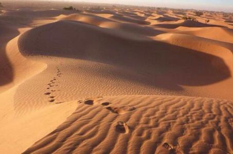 世界上最长的沙滩 世界上最长的沙漠