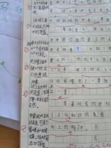 小学生五年级反思作文 学生自我反思作文