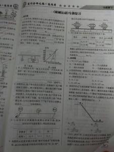 八年级政治论文 八年级上册政治论文