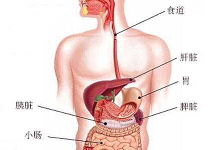 肝肿瘤死前症状 肝区疼什么原因