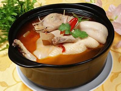 鸭肉炖汤的做法大全 夏季鸭肉炖汤的做法