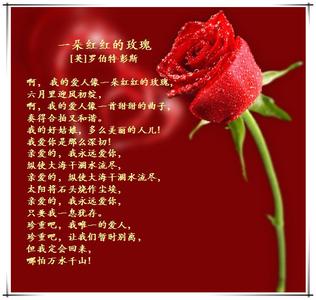 a red red rose 赏析 经典诗歌A Red Red Rose赏析