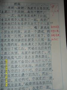 中考作文600字大全4篇 关于钓鱼的作文4篇