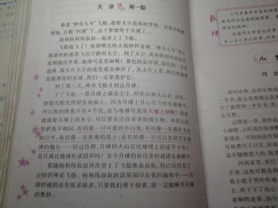 春节作文600字六年级 小学六年级作文春节600字4篇