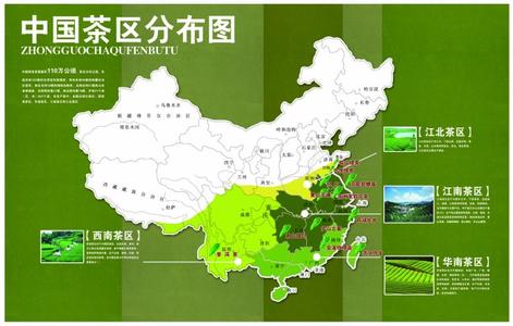 中国四大地区 中国四大茶区是哪些地区