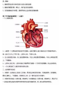 七年级下册生物考点 七年级下册生物知识点人教版