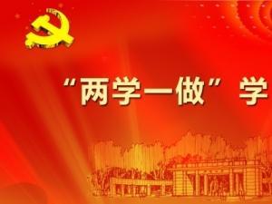 大学生两学一做党章学习心得体会3篇