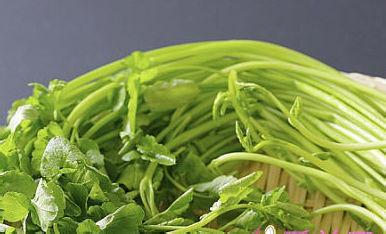 防癌抗癌又明目的野菜 防癌养生10种野菜