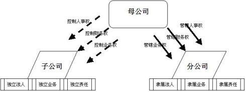 支公司与分公司的区别 分公司子公司区别