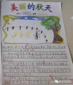 秋天的图画作文三年级 秋天的图画作文300字三年级范文4篇