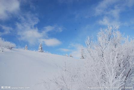 描写雪景的文章 冬季描写雪的文章_描写冬天雪景的文章