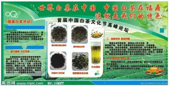 安吉白茶品牌宣传 白茶品牌的宣传广告词