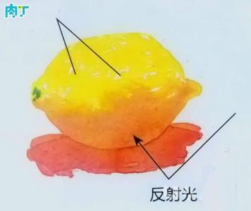 赵云龙水彩画写生作品 水彩画写生柠檬的步骤