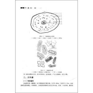 转正申请书自我鉴定 药学转正自我鉴定书