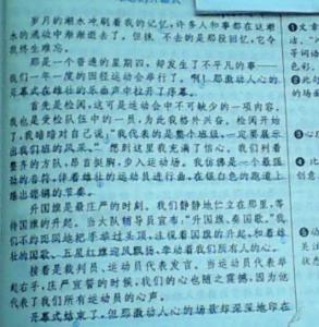 初中运动会作文800字 初中运动会作文800字范文4篇