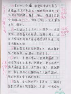 我的老师作文300字6篇 关于写我的老师作文6篇