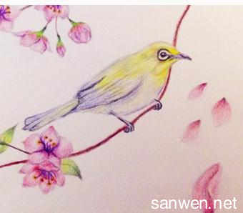 铅笔画小鸟鸟怎么画 关于小鸟的铅笔画图片