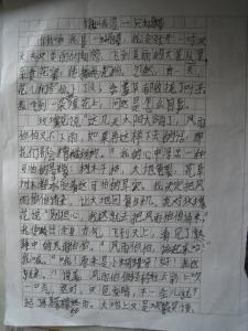 假如我是一只小鸟400字 假如我是一只鸟400字作文