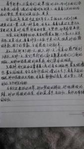 爱在深秋作文 描写爱在深秋的日记作文600字